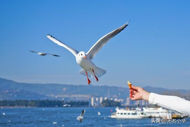 去了云南昆明旅行才知道的五件事，还觉得挺意外，跟想象的不一样