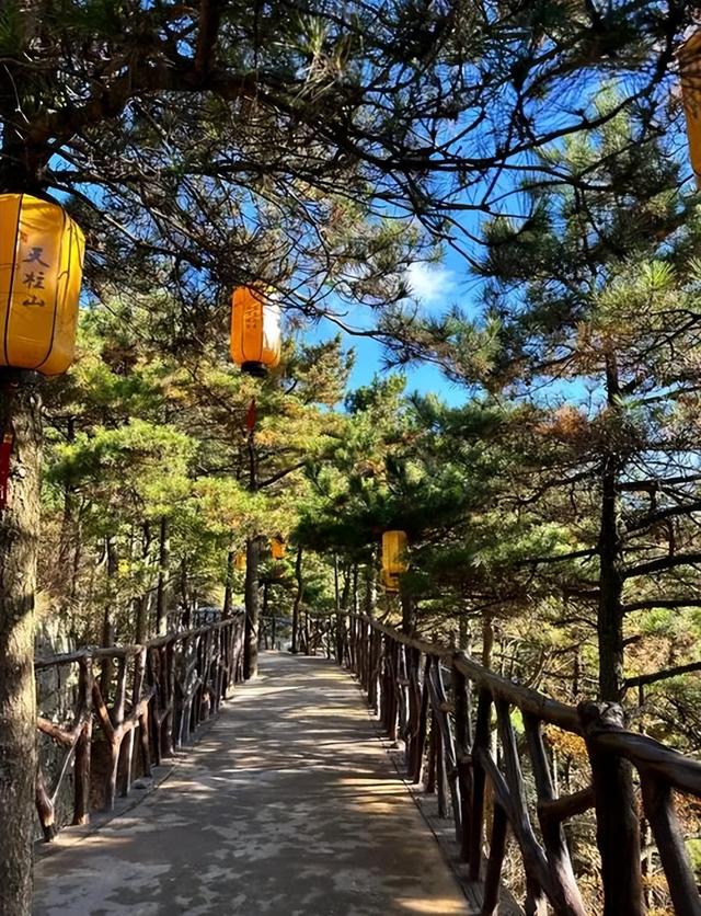 天柱山秋冬“躺平”指南：从红叶滤镜到雪景开挂，懒人也能封神