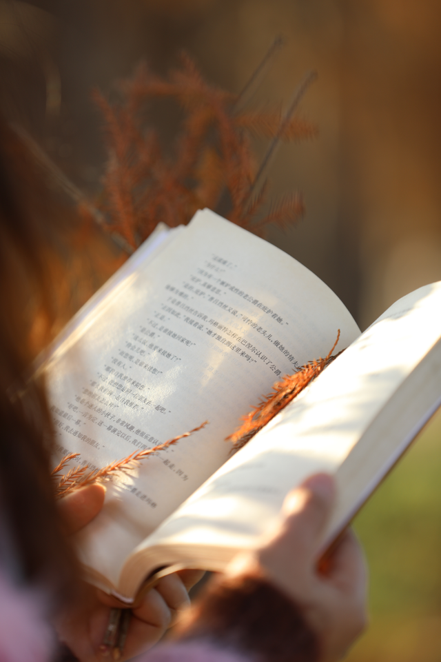 格桑花、紫花风铃木、雪白油茶花……肇庆这里太美了！