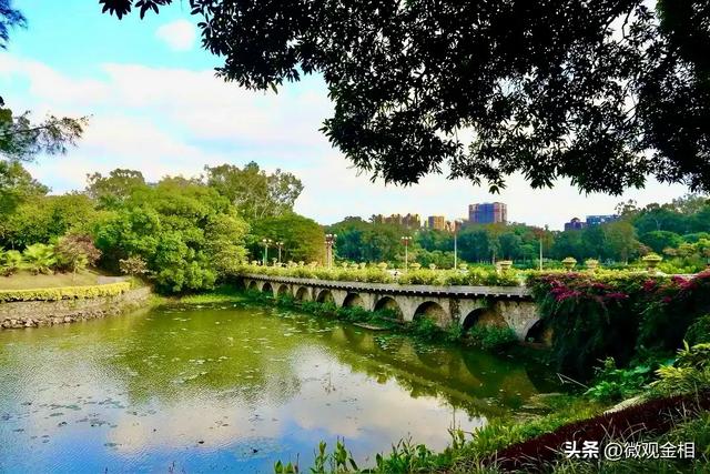 一年四季都可以去打卡的城市绿州麓湖
