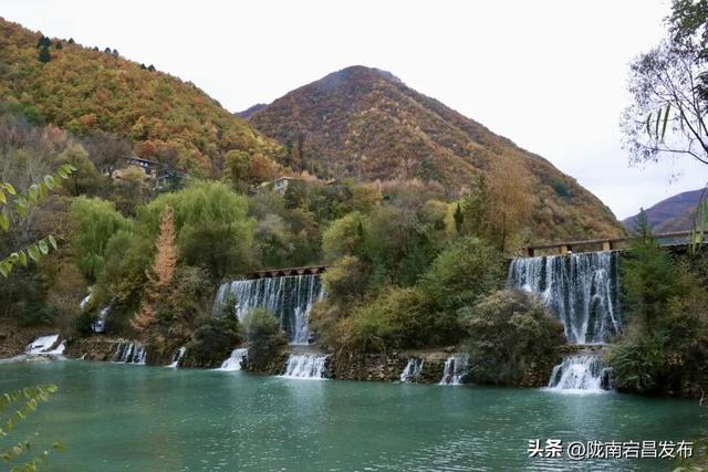 秋辞官鹅：一季斑斓入岁华