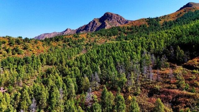 走进赤峰马鞍山林场 邂逅绚烂山林秋色