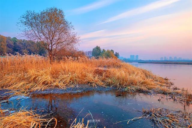 这样的哈尔滨，你见过吗？