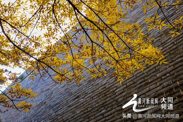 大同秋韵：城与园的诗意共舞