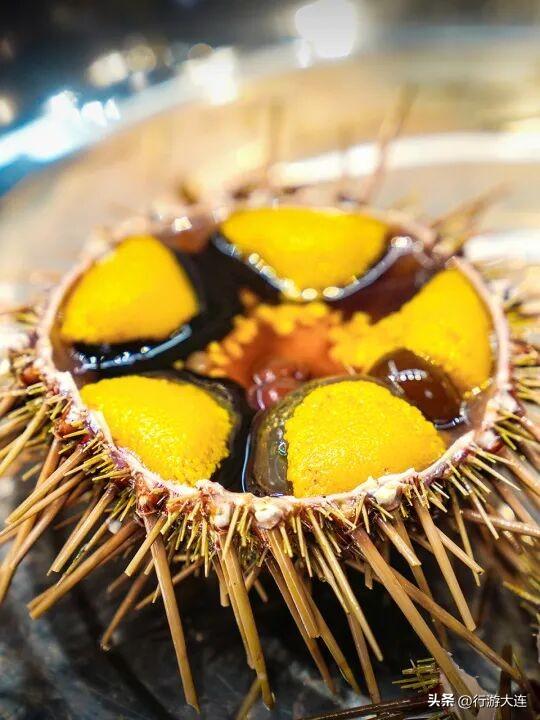 文旅局长亮相央视，邀你开启冬日浪漫之约！