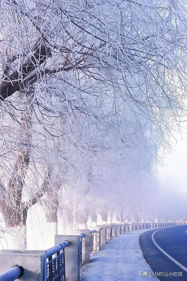 吉林雾凇岛 | 冬日的冰雪童话世界打卡攻略！