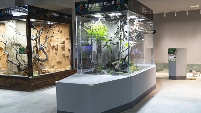 遵义又新增一处新玩法！