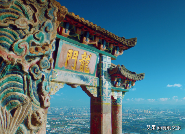 西山赏杏观鸥全攻略！40载人鸥情缘！3+8+N玩法承包冬日浪漫