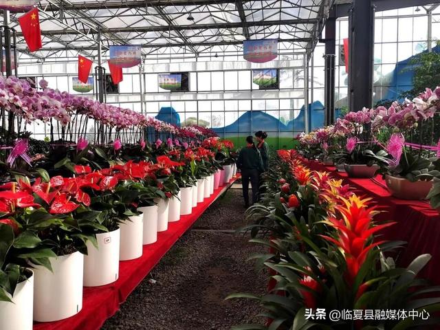 临夏县国庆文旅消费迎“黄金档” “旅游+”融合业态释放消费活力