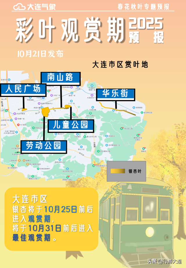 抓住这场金色盛宴！银杏“出片季”正式开启！