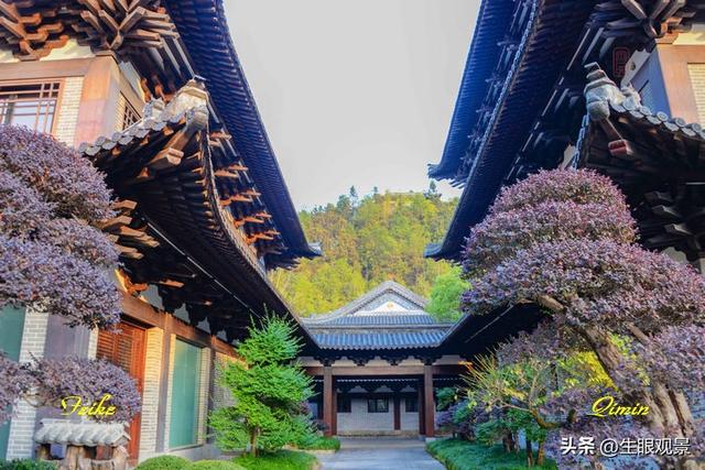 影记 | 衢州根雕艺术之都——根宫佛国(上)