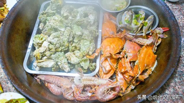 【乐游烟台】高铁直达！烟台被低估的神仙小城，太安逸了
