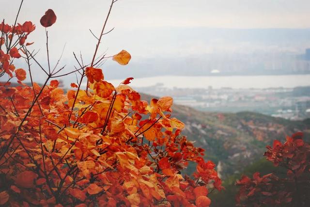 【文明旅游】太原：邂逅天龙山秋色，坐拥山水人文