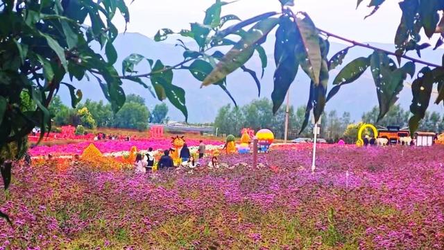 【网络中国节】“十一”假期 白银区乡村游邀您共赴田园盛宴