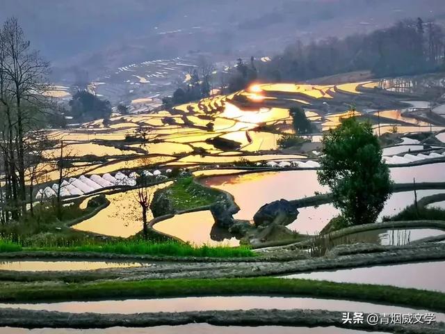 旧时光里打捞的梯田光影