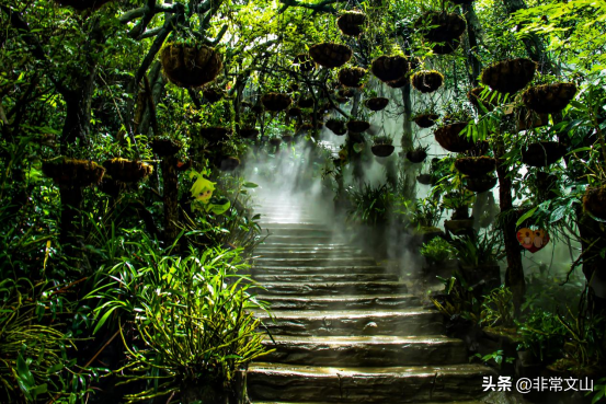 聚力打造“三七之乡·健康文山”旅居品牌 具象化诠释“有一种叫云南的生活”