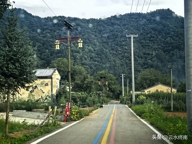 美不美？从“吐一路”到最美乡村路，看4000年银杏，探2000年栈道