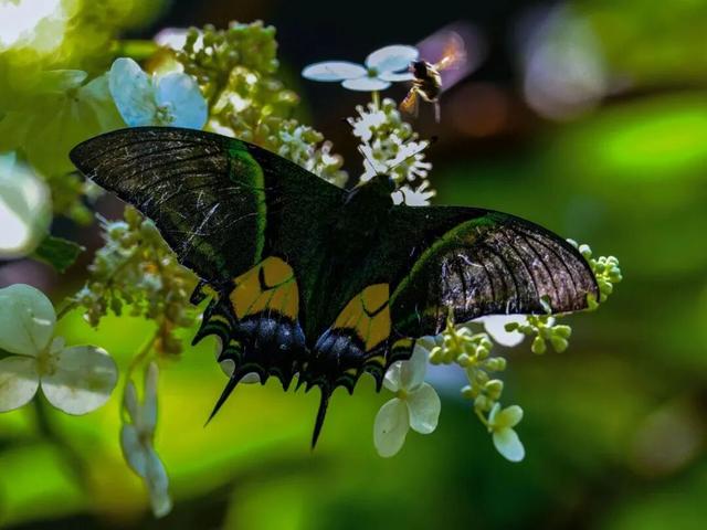 快来抱抱~ | Welcome to 疯狂·武夷山·动物城