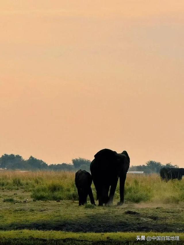 同事背着我们成了“南非旅游大使”？|中国自驾地理