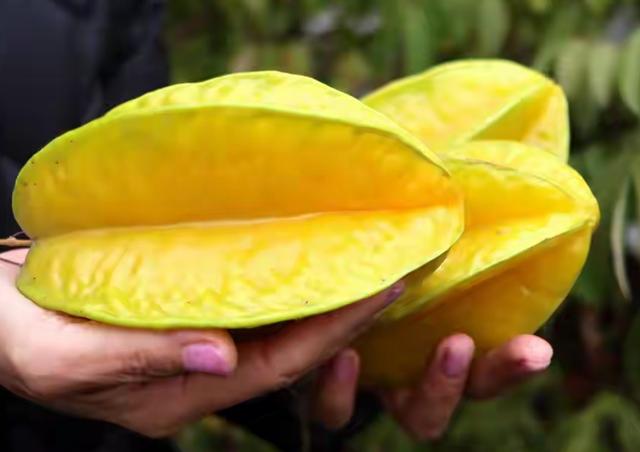 带着孙女去旅行（164）广西扬美古镇