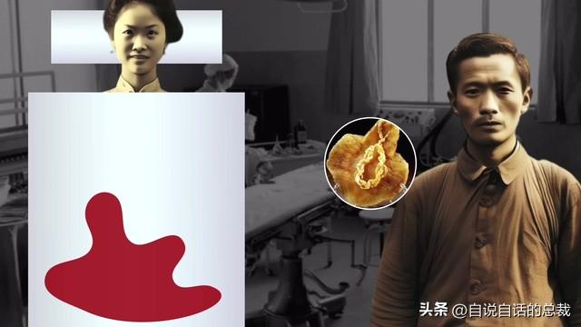 笔架鱼肚 花胶 区别 2026年笔架鱼肚怎么做好吃