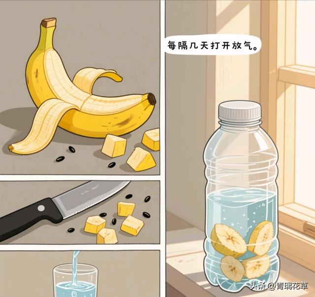 在家自制花卉肥料全攻略：从原料到使用的一站式指南