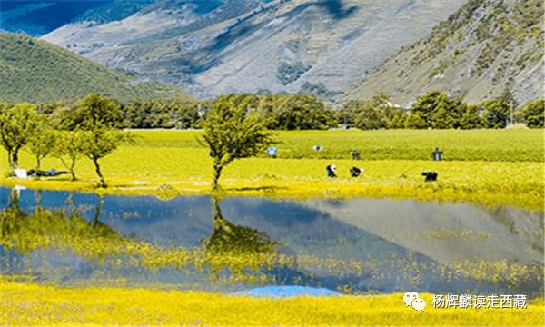 昌都•类乌齐，必须去的打卡地，风景好美