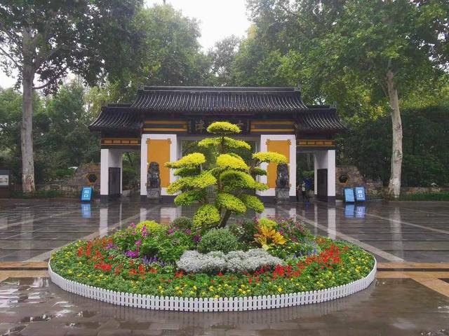 合肥街头“变装”发现了没？国庆假期一起逛花境吧！