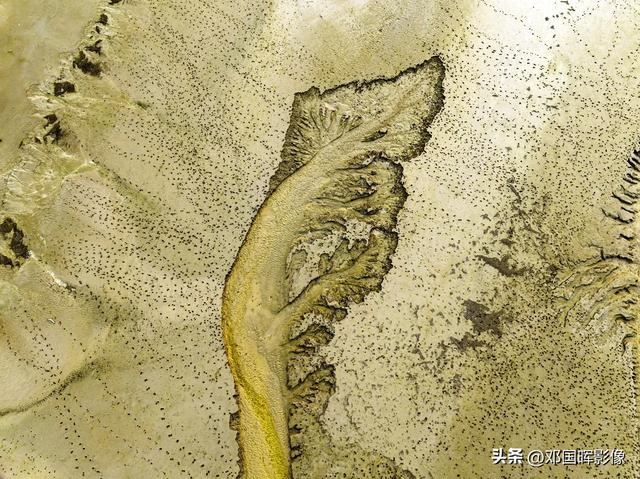大黄河多姿多彩，带你看不一样的黄河