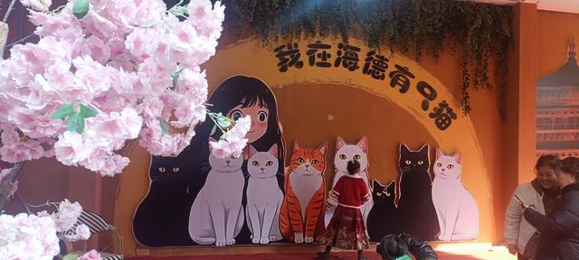 圣诞快乐的海德小镇