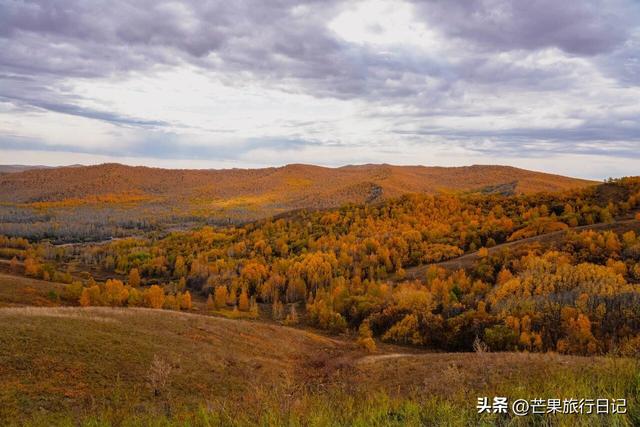 内蒙古与俄罗斯交界有个小镇，异域风情浓郁，就像到了俄罗斯一样