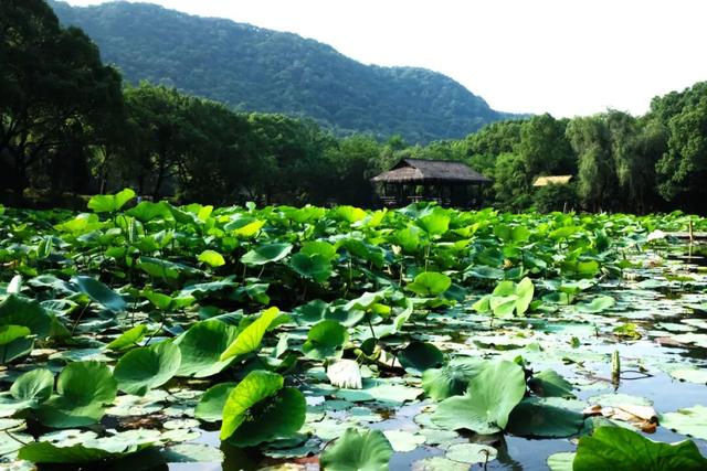 时光里的绍兴：大禹之后，江南之间