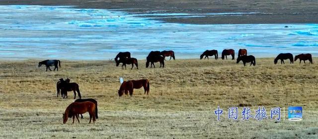张掖山丹：冬日山丹马场风光美如画