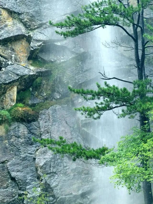 人少景美，适合自驾！陕西的清凉秘境，周末来赴约