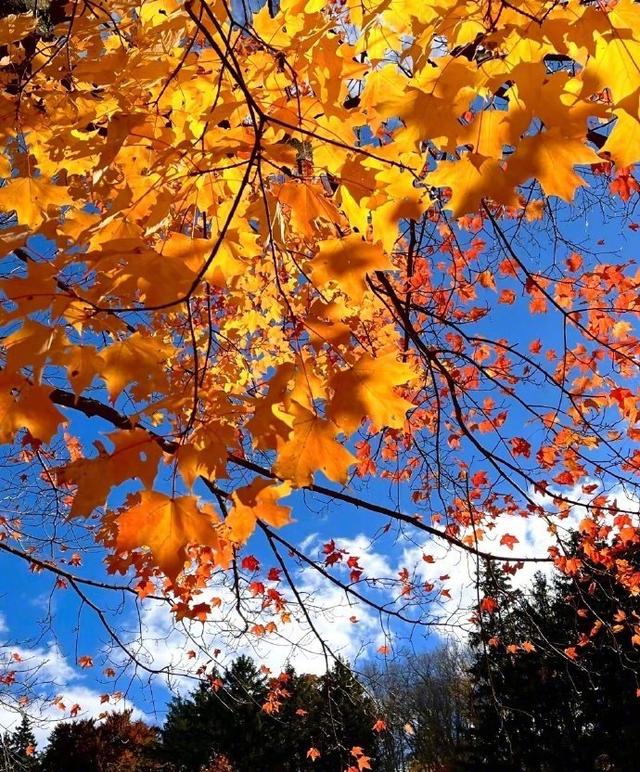 能量差时别找喜欢的人：越凑越没辙，不如先顾好自己