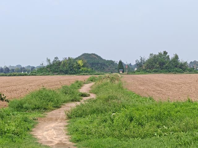 秋谒顺陵