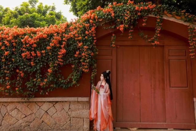 限定美景！桥南古街这片“橙红瀑布”藏不住了