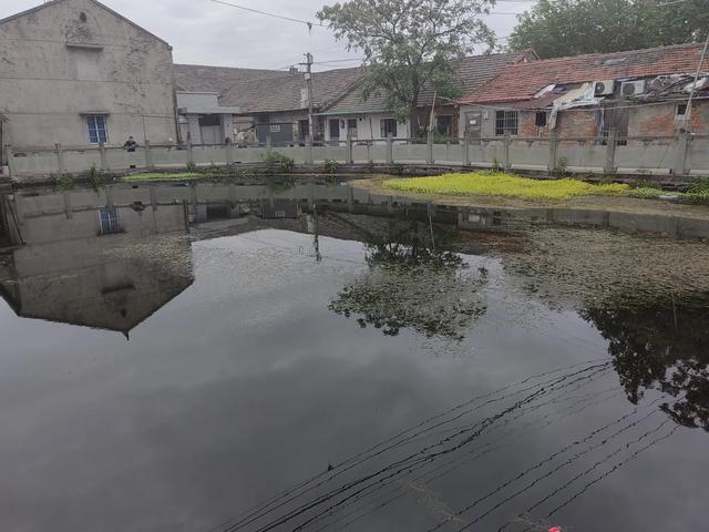 游宁波庄桥街道马径村