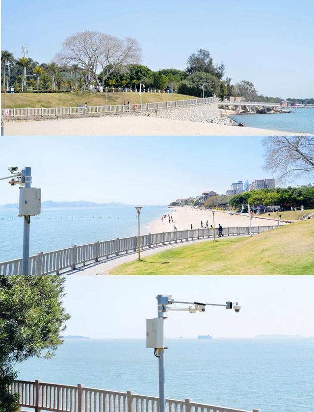 厦门珍珠湾沙滩，人少景美的隐秘海滩，沙滩旁那棵网红树拍照绝美