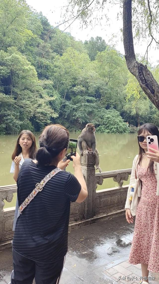 贵阳人与避暑客，贵阳黔灵山公园里的热闹与体谅