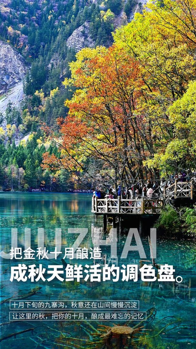 来了九寨沟，这个秋天才不会白过！