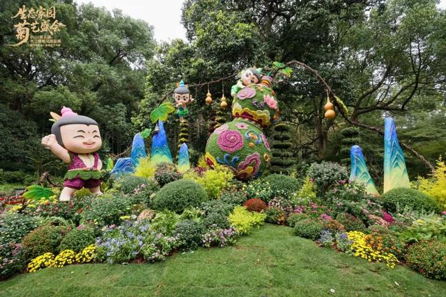 不愧是顶流！一大早就红了，人挤人持续好多天！萧山人家门口也有······