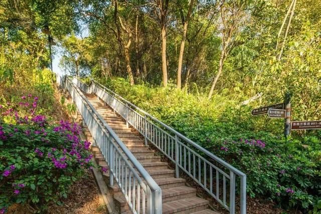 广州从化泡氡温泉！叹山景房+3餐全包+无限温泉，深氧康养平靓正