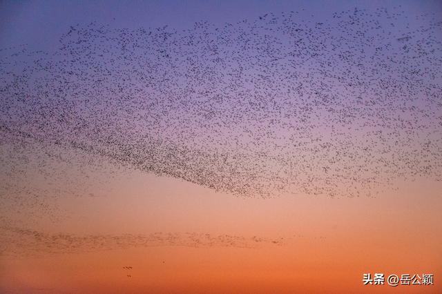 摄影年鉴|2025，我的风光摄影作品——日出日落篇