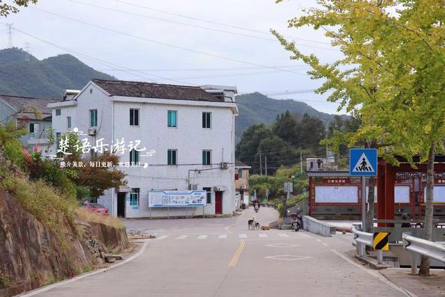 宁波宁海的10公里长溪，不仅是绝美玩水胜地，秋季的风景也很秀丽