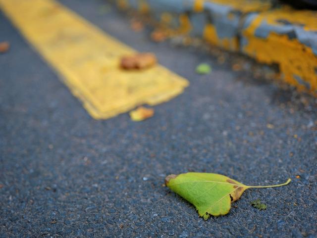 锐润轻量双优镜 适马 35mm F1.2 DG II | Art 深度评测