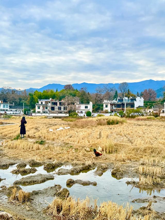 追着晚秋(黟县宏村镇塔川村)