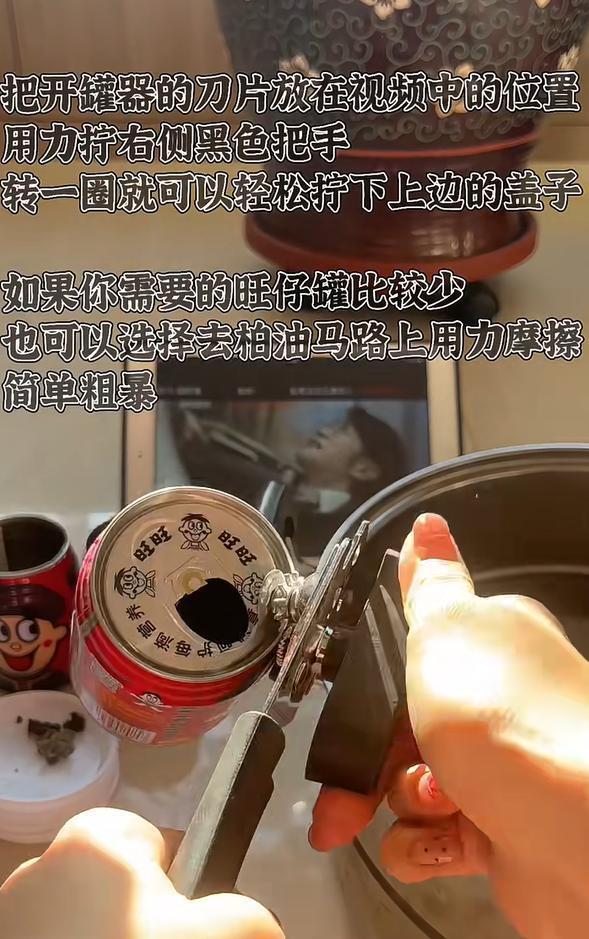 北京一男子因“易拉罐养多肉”引围观，进门见笑脸，又旺又治愈！