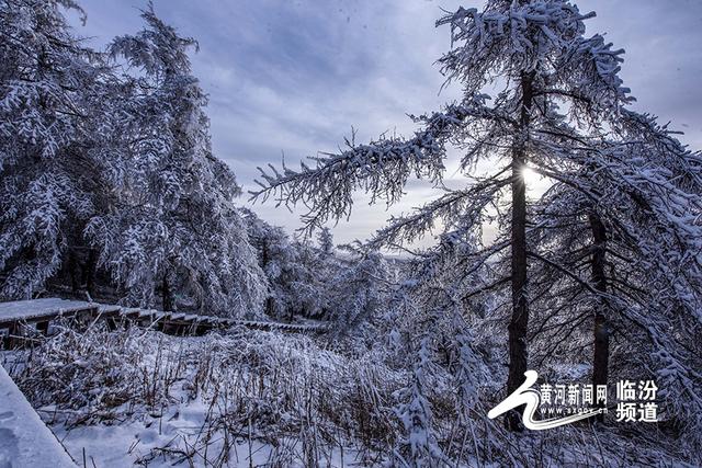 七里峪五龙壑现雾凇冰挂 绘就冬日梦幻景