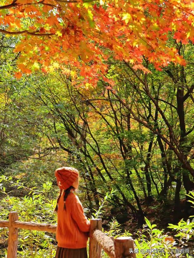 秋染山河